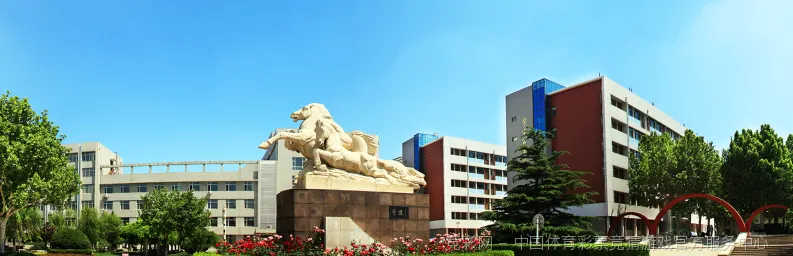未来愿景与发展方向